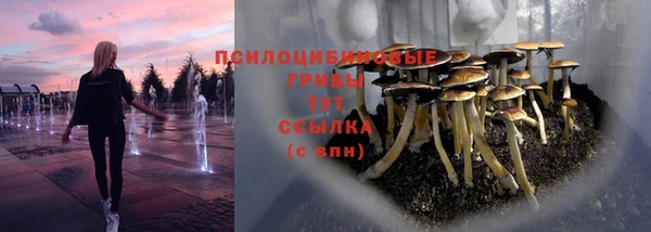 спиды Верея