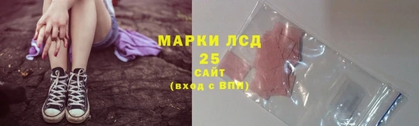 спиды Верея