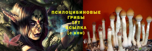 ГАЛЛЮЦИНОГЕННЫЕ ГРИБЫ Верхний Тагил