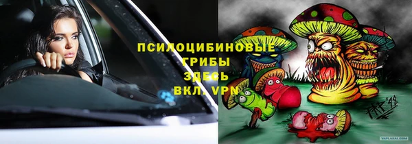 ГАЛЛЮЦИНОГЕННЫЕ ГРИБЫ Верхний Тагил